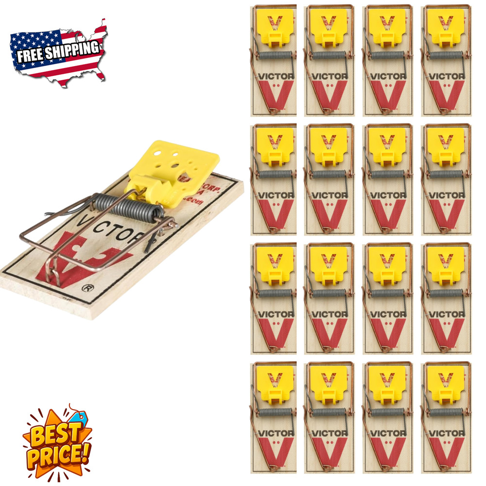 Mouse Traps - 16 Pack