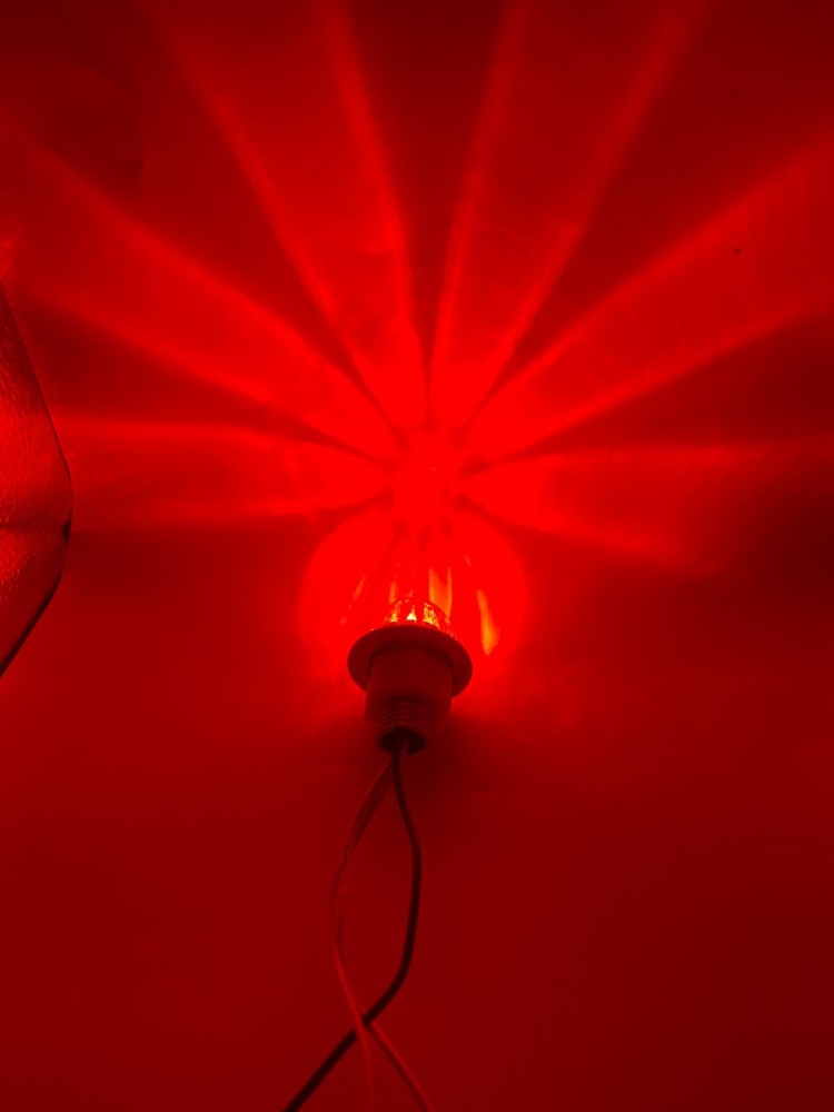 Mini HERO Watermelon led light Clear/Red (Open Box) Each