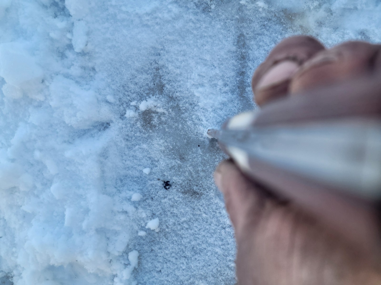 Fantasy Wall Sowrd Art