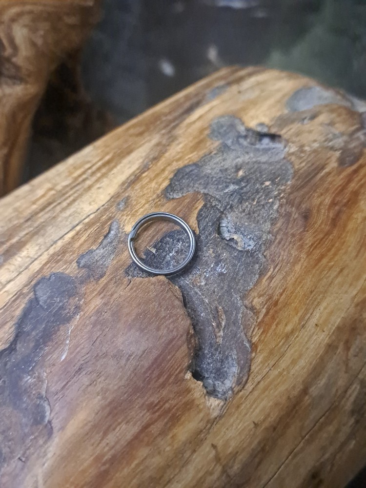Small 16mm Accessory Titanium Sidepush Keyring