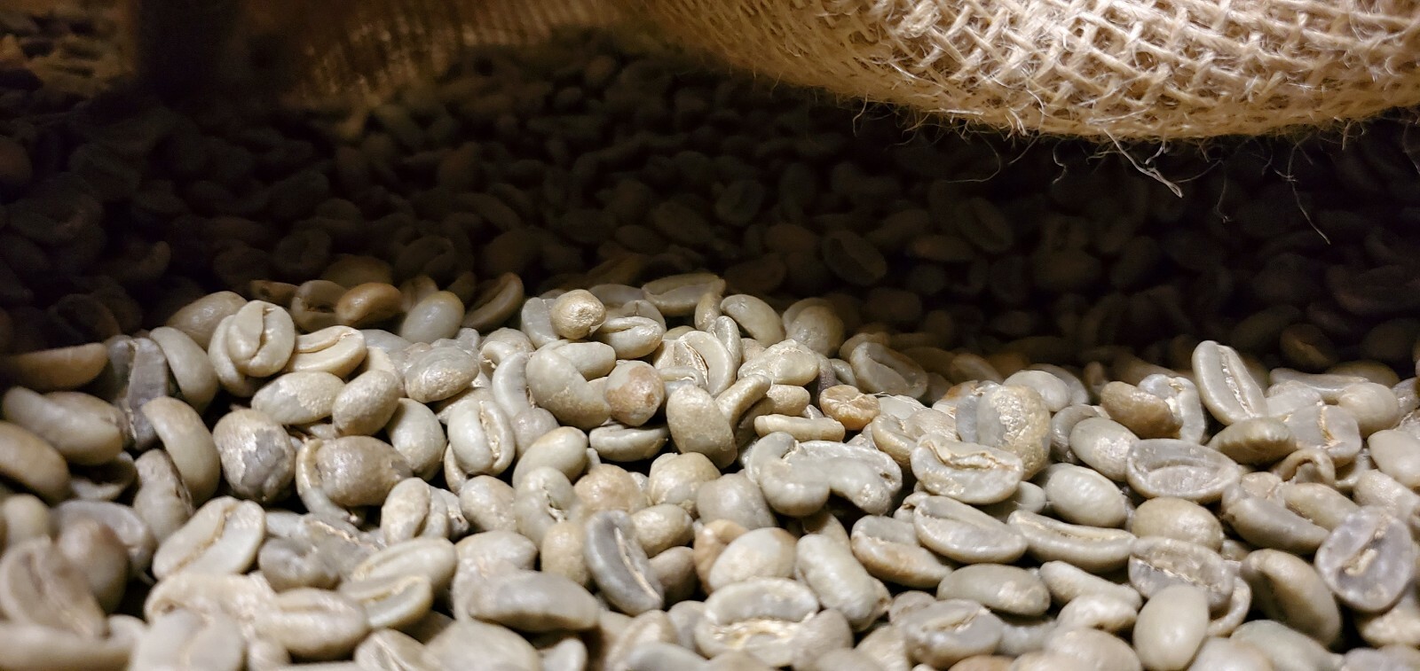 5 LBS PAPUA NEW GUINEA UNROASTED GREEN COFFEE BEANS - ARABICA