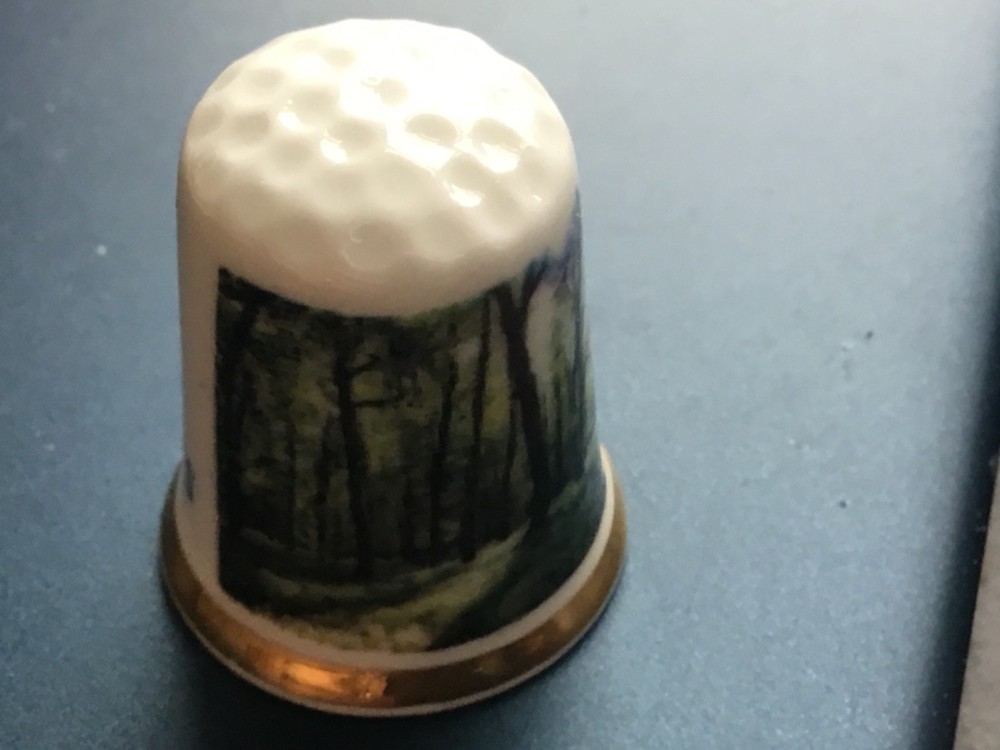 Centre Parcs Forest scene - thimble - A1