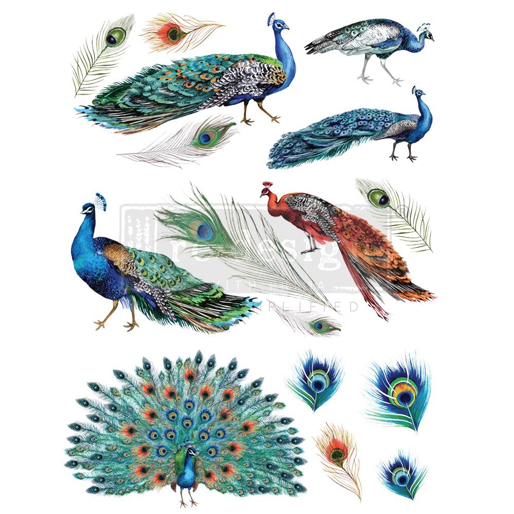 PEACOCK DREAMS  Redesign with Prima Decor Transfer 24"x33" Rub On