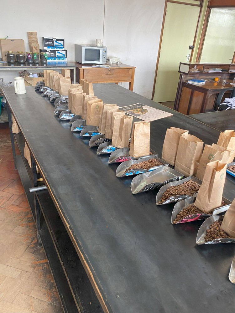 1Lb Kenya AA Coffee Superior Grade
