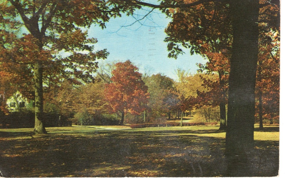 TREE LINED PATH IN TN - PC2097