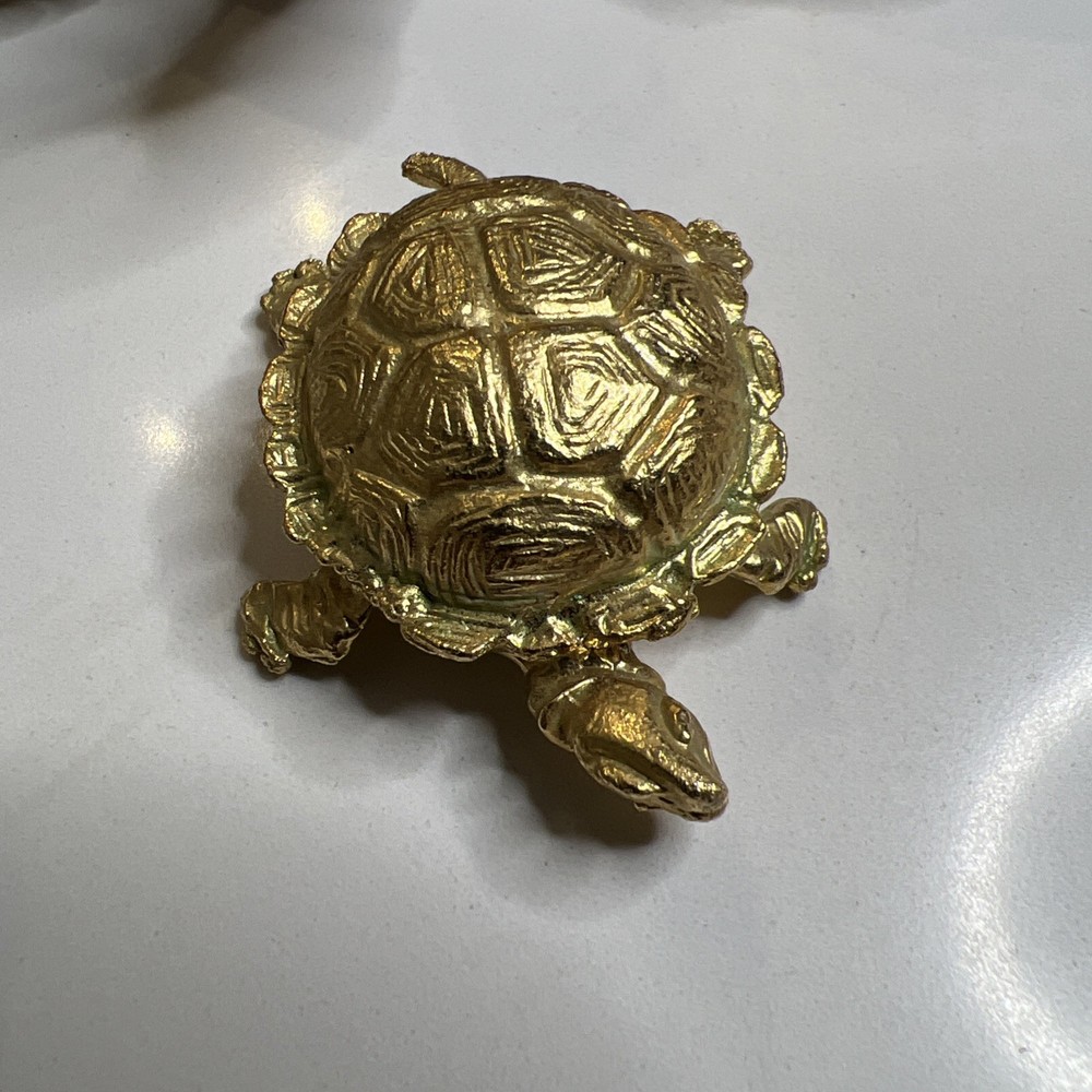 Turtles 5 Pieces Sea Turtles