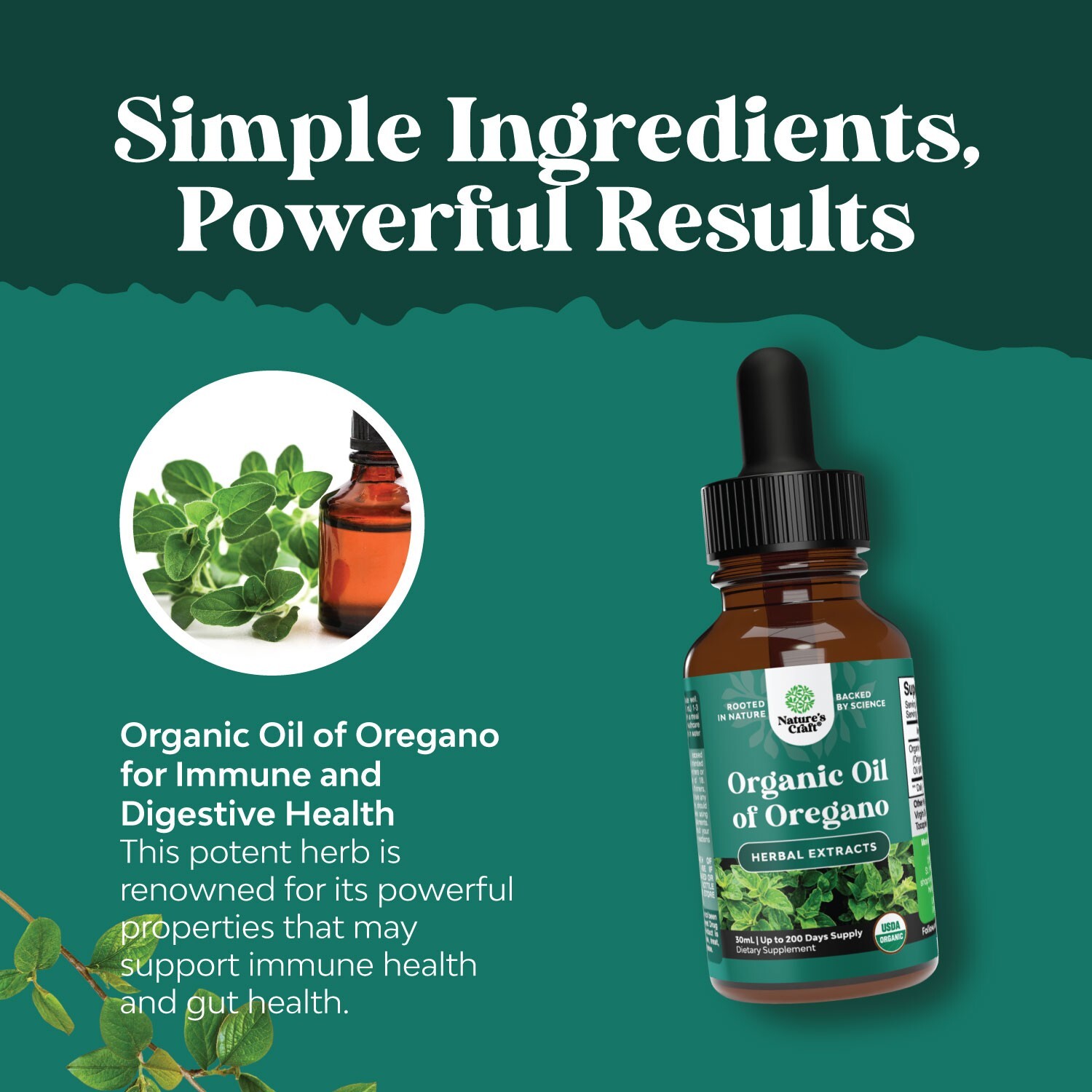 Oregano Oil Organic Liquid Drops for Adults and Kids - Super Concentrated USDA