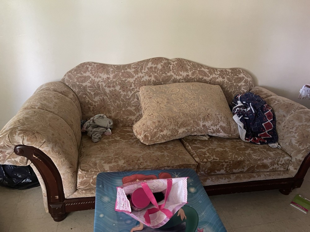 Light Brown Couch