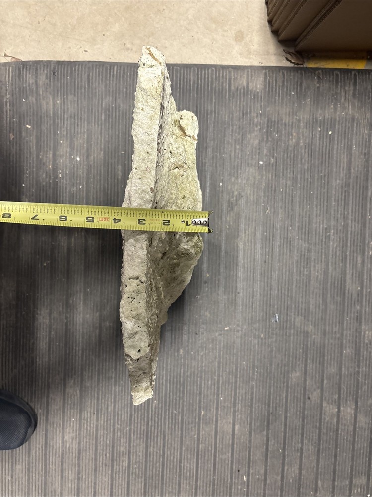 Large Plate Rock