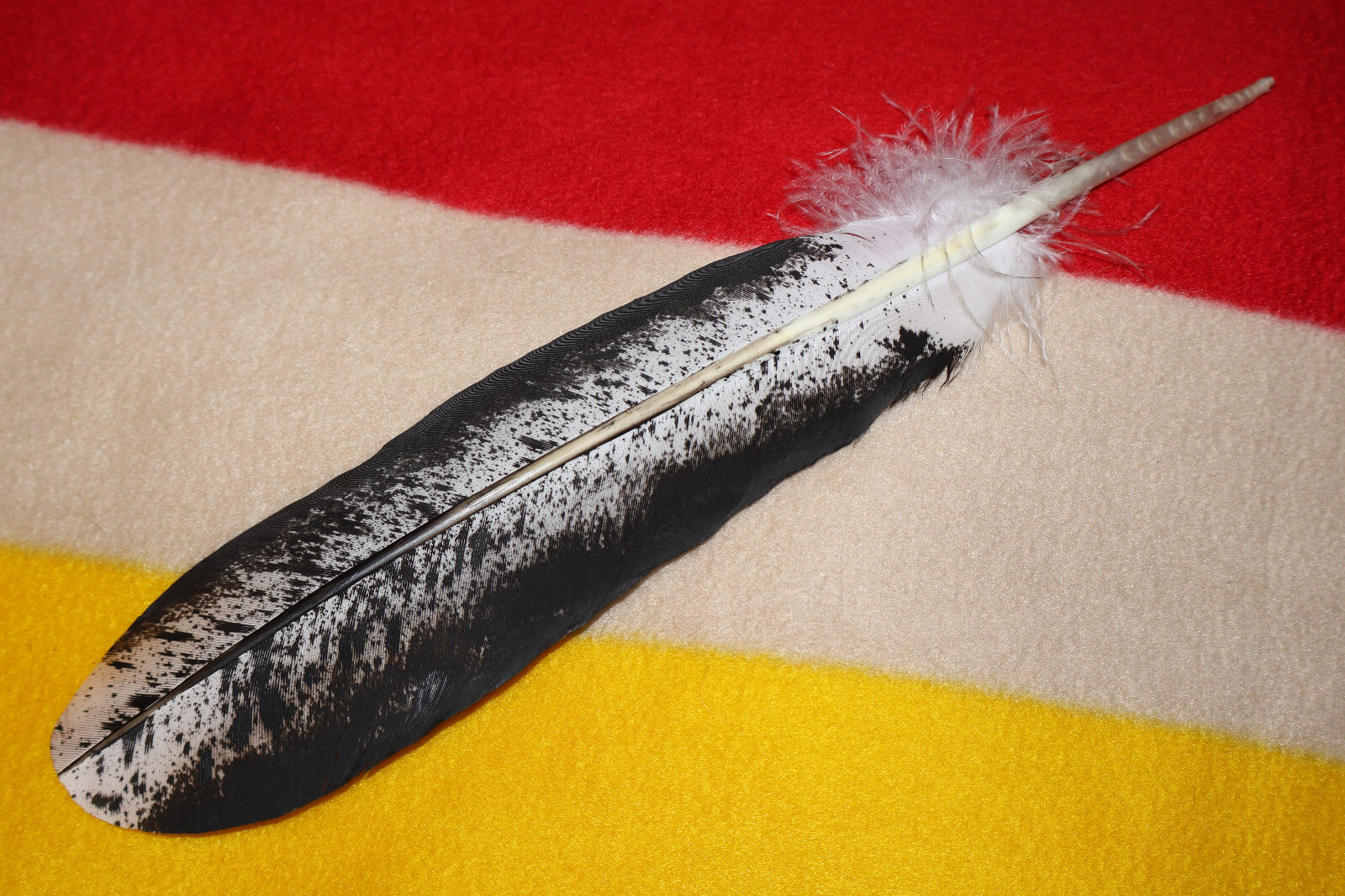 Native American-made Immature Bald Eagle Feathers Immature hand painted