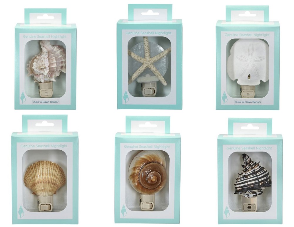 Seashell Night light Boxed LED Genuie Night Light 3" Shell