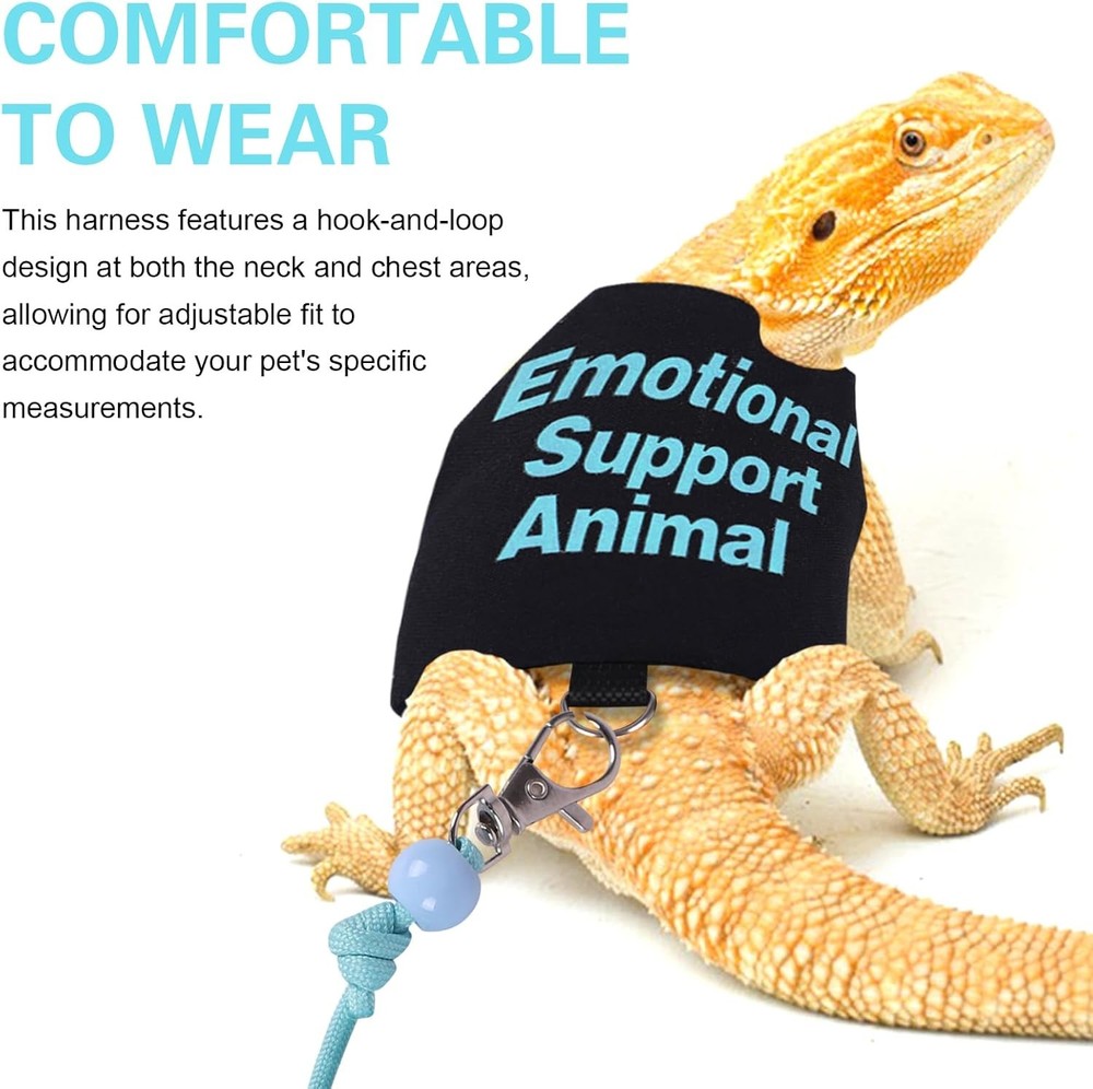 Bearded Dragon Harness and Leash Set Adjustable Reptile Lizard Medium, Blue