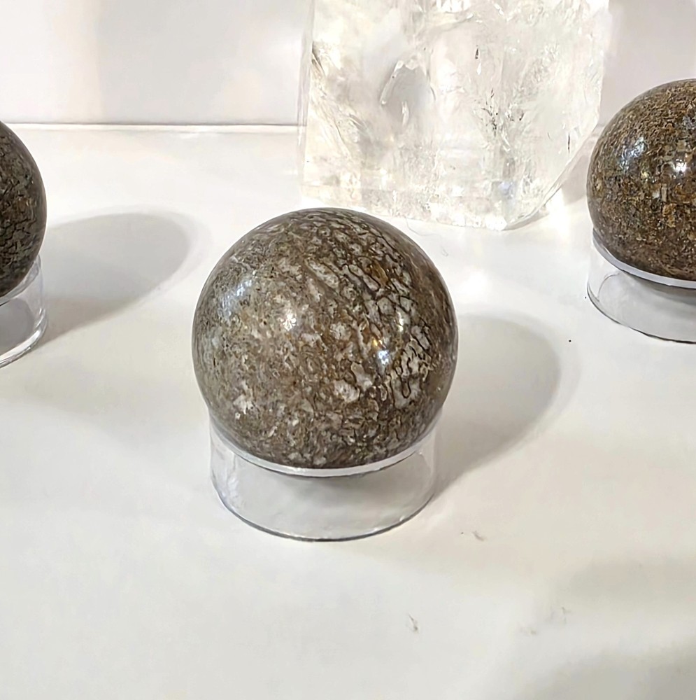 Dinosaur Bone Sphere #2- WYSIWYG