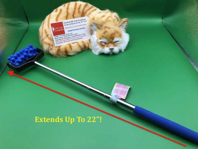 THE ULTIMATE CAT MASSAGER