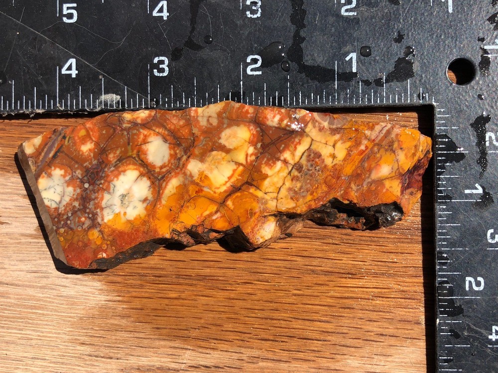 Birdseye Rhyolite 88g Rough Slab 3/8-1/2” Thick Cabbing Stone Orb Jasper