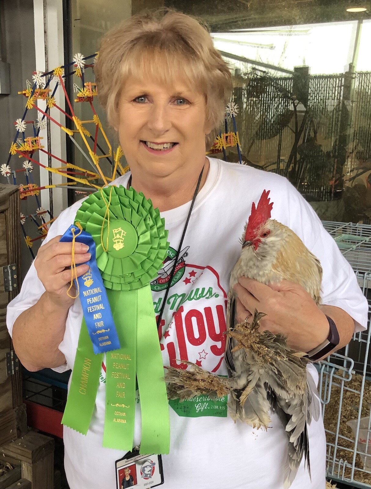 6 + PORCELAIN D’UCCLE BANTAM Fresh Hatching Eggs. Laying Now.