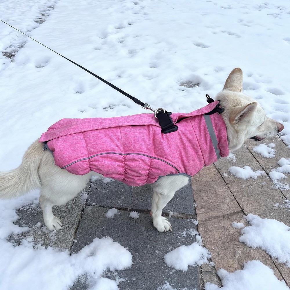 Malier Dog Coat, Reflective Jacket Waterproof Windproof Medium, Pink