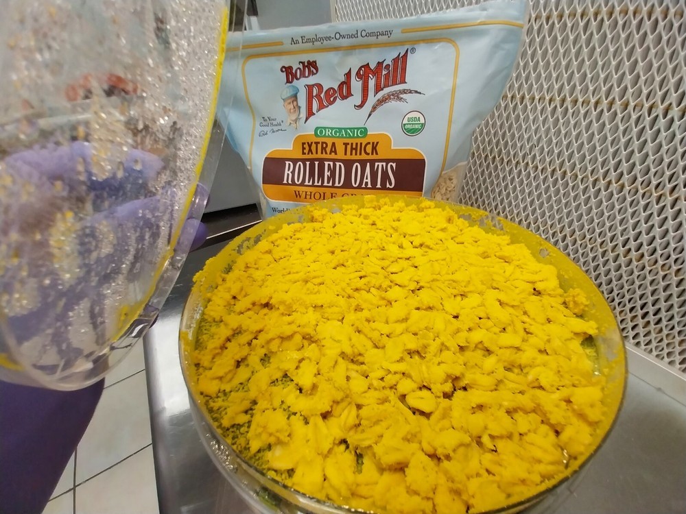 Pet Blob Home School Science Kit Complete with Tools & Instructions