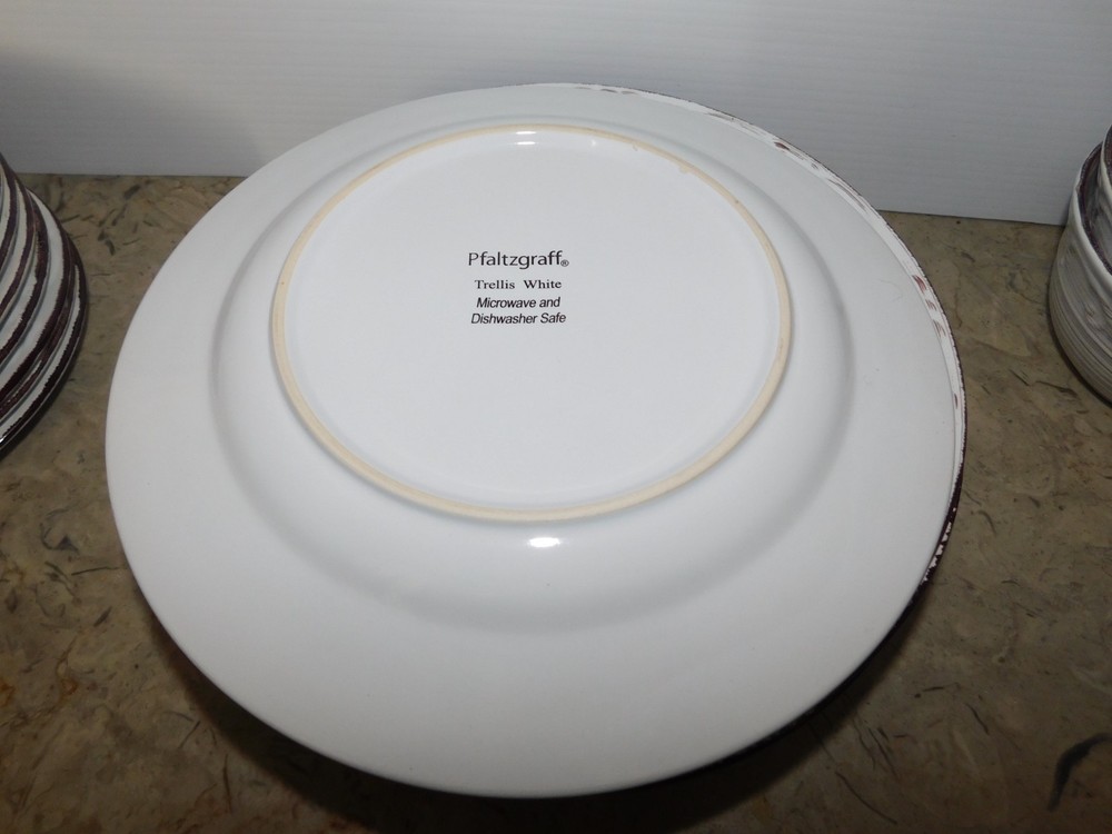 25 Pc. Pfaltzgraff Everyday Trellis White Dinnerware Set Plates Bowls Mug