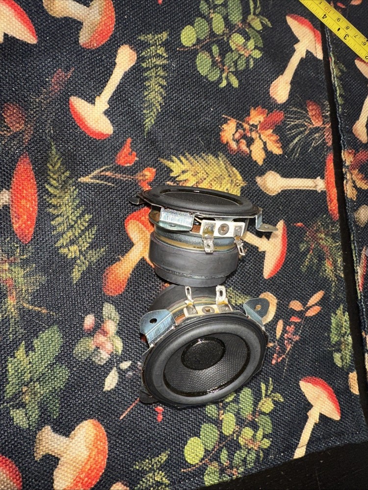 Two Speakers 20W 6.amp