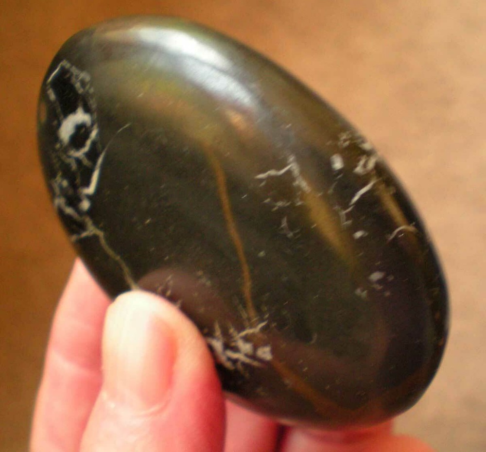 Healing Shield - Septaria Palmstone Morocco sc1065
