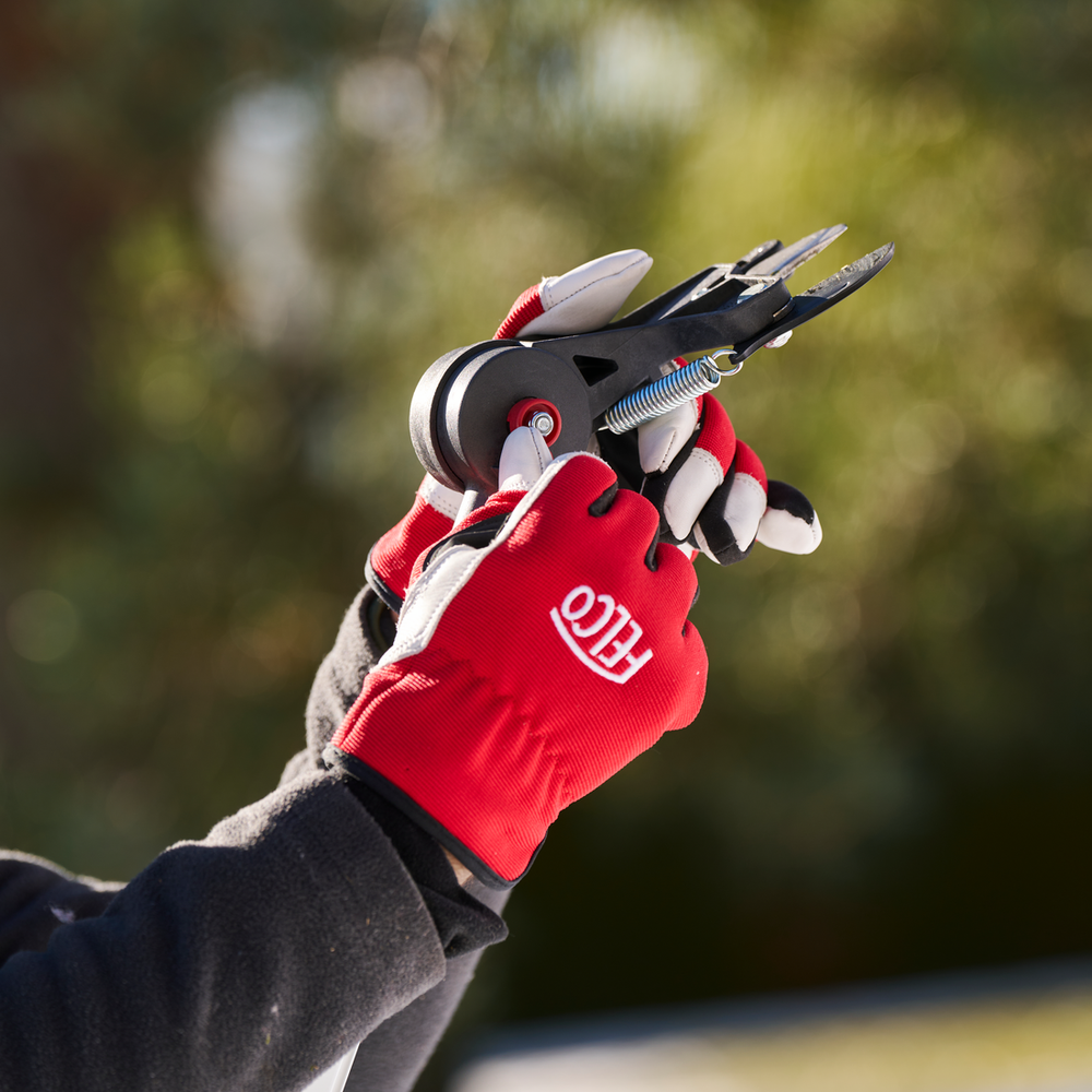 Felco 290 pole saw