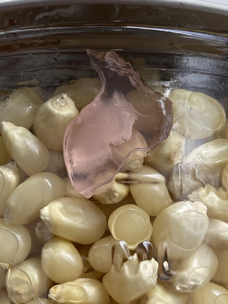 (2) Half Pint Jars - Sterilized Corn for Grain Spawn - Grow Great Grain Spawn