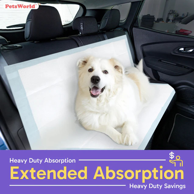PETSWORLD Premium Extra Large Dog Pee Pads (43" x 74")Jumbo Puppy Training Pads