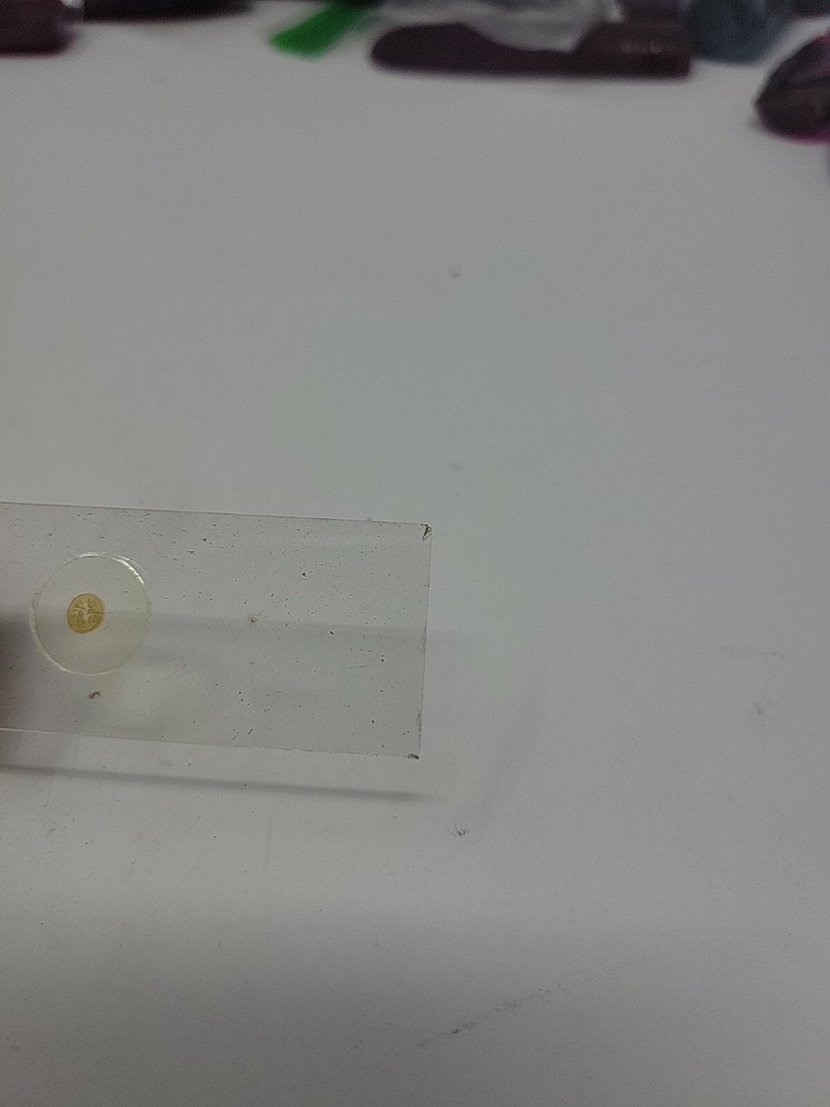 Vintage Microscope Slide 1941