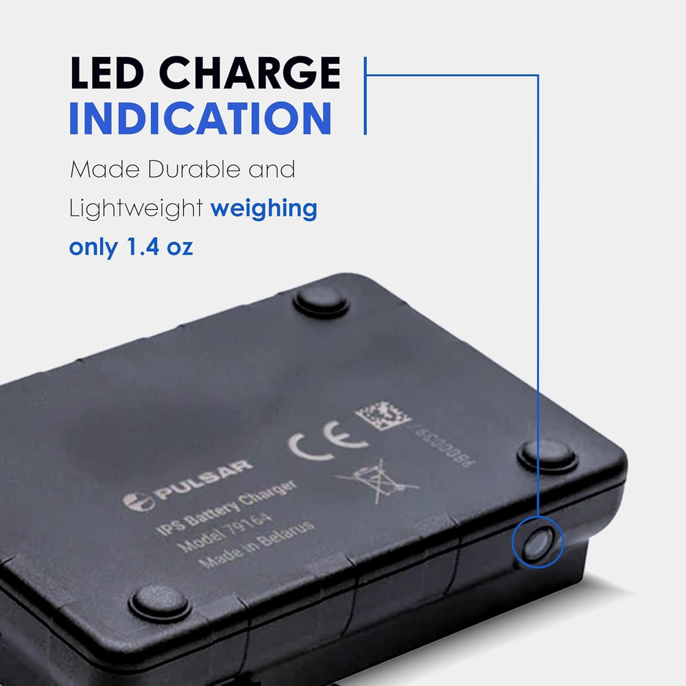 IPS Battery Charger