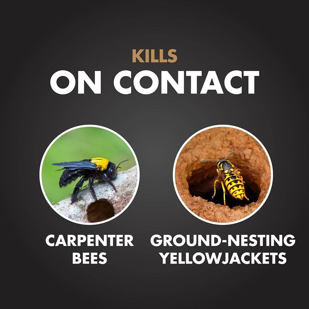 16 oz Aerosol Carpenter Bee & Ground-Nesting Yellow Jacket Killer Foam