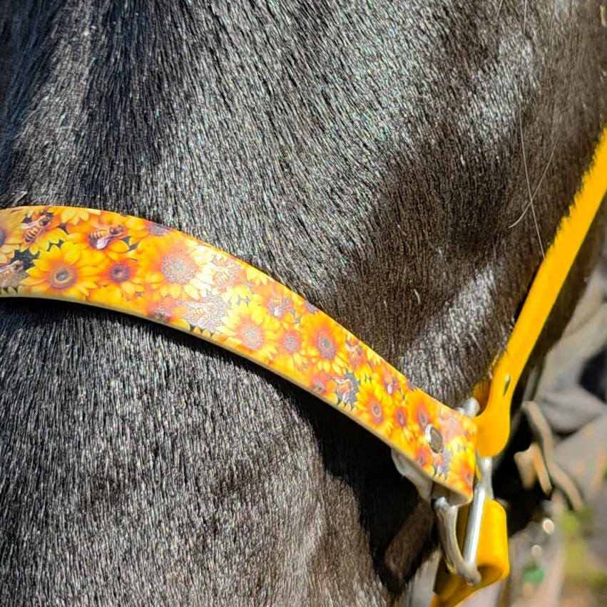 Biothane Horse Halter - Bumble Bee Sunflower