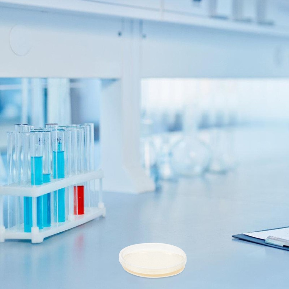 10 Pcs Prepoured Petri Dish Nutrient Agar Plate Extract