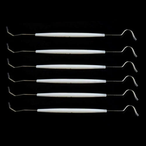 10 Pcs Dental Teeth Explorer Double End Instrument Probe Hook Basic Instruments