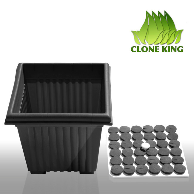 THE CLONE KING 36 SITE AEROPONIC PLANT CLONING MACHINE CLONER CLONING VERY EASY!