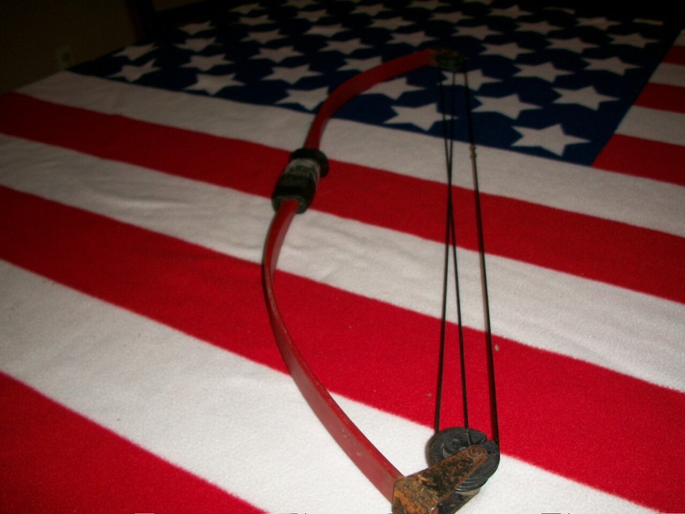 Bear Panda Bear Youth Compound Bow