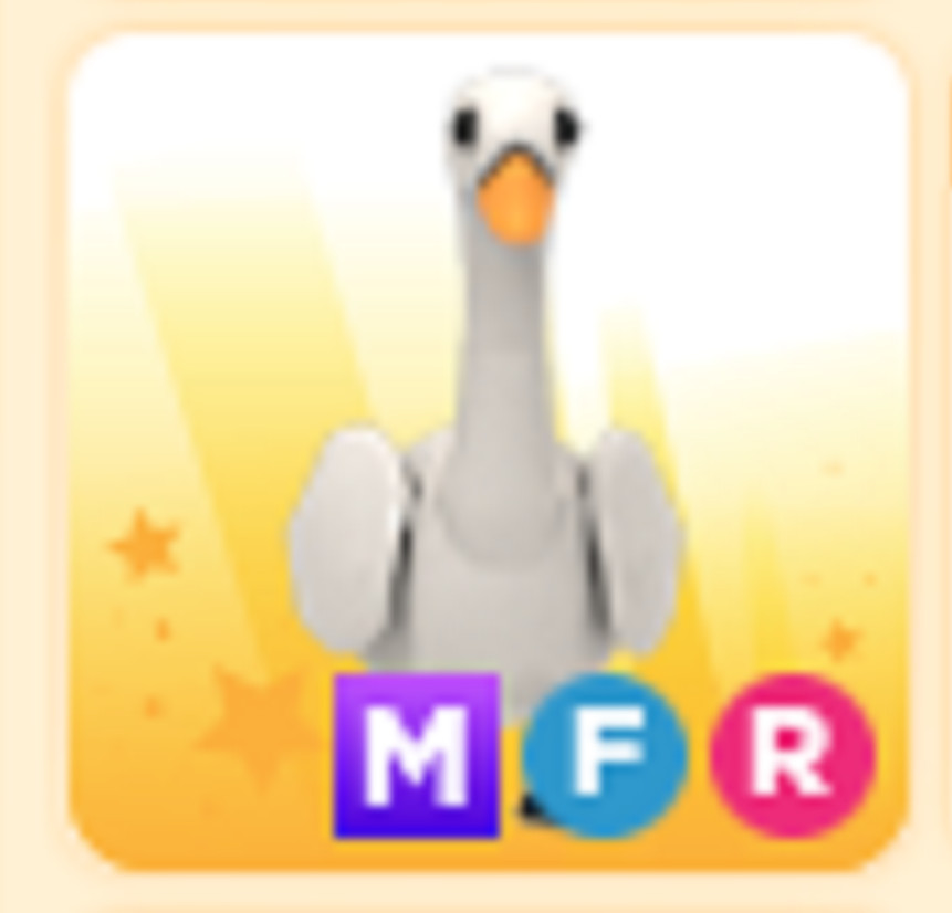 MFR Swan🔥 PET NEW HOT 🔥 The Trusted Store!!