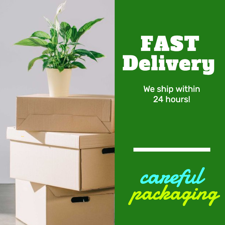 SET 2 Vtg BROOKLYN TRIPLE SILVER Silverplate Lid SUGAR BOWL FLORAL ETCH Creamer