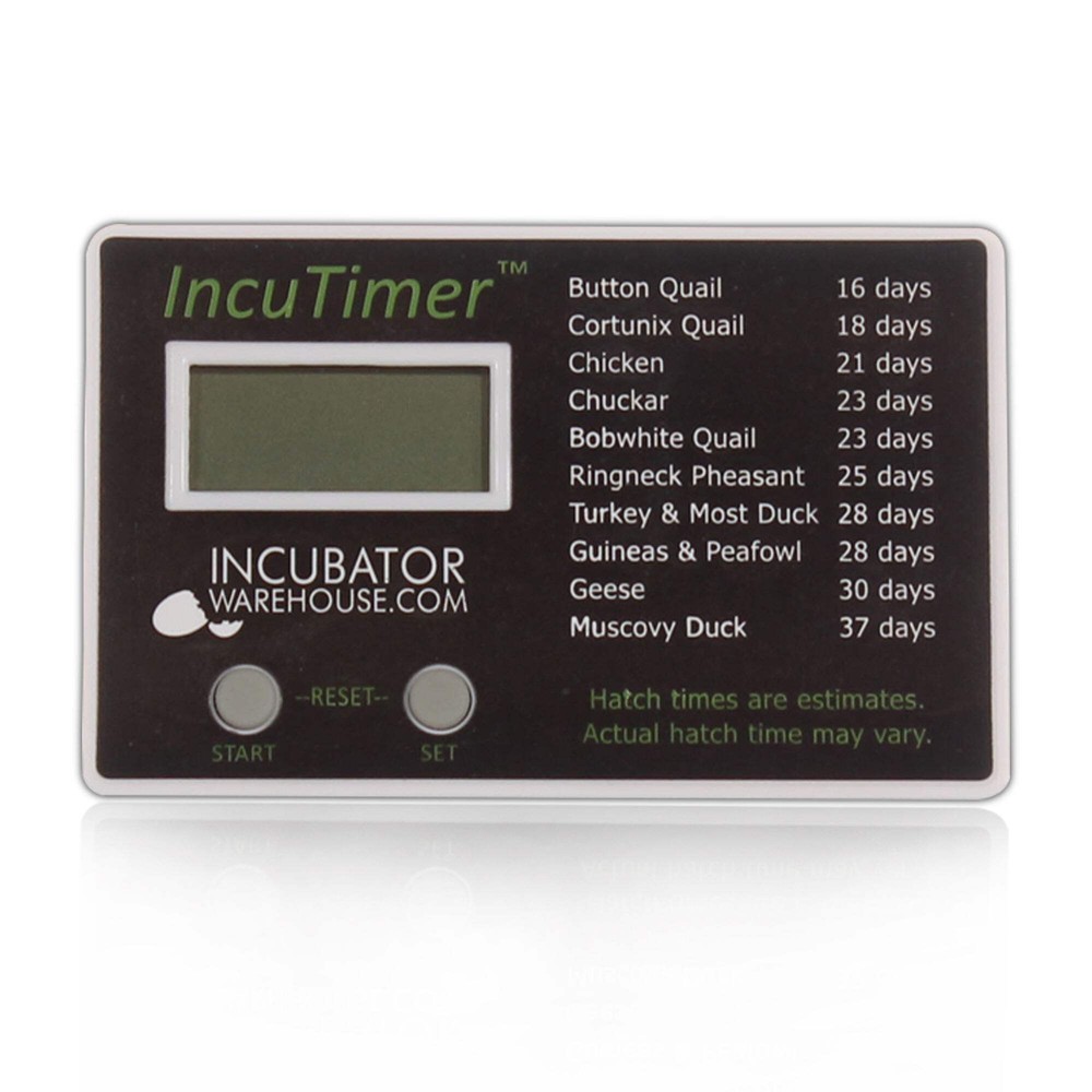IncuTimer™, Egg Incubator Hatch Timer, Countdown, 90 Day Maximum, Simple Setup