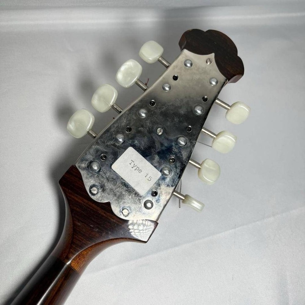 Mandolin Raffaele Calace Type15 raffaele calace