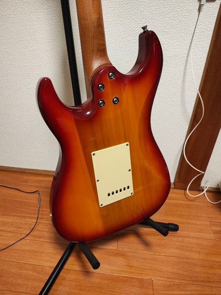 Bacchus GS-2DX RSM/M with modification