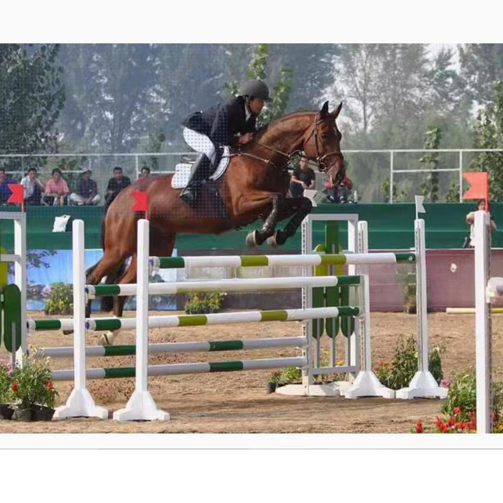 2x Red White Direction Flags, Tour Guide Flags
