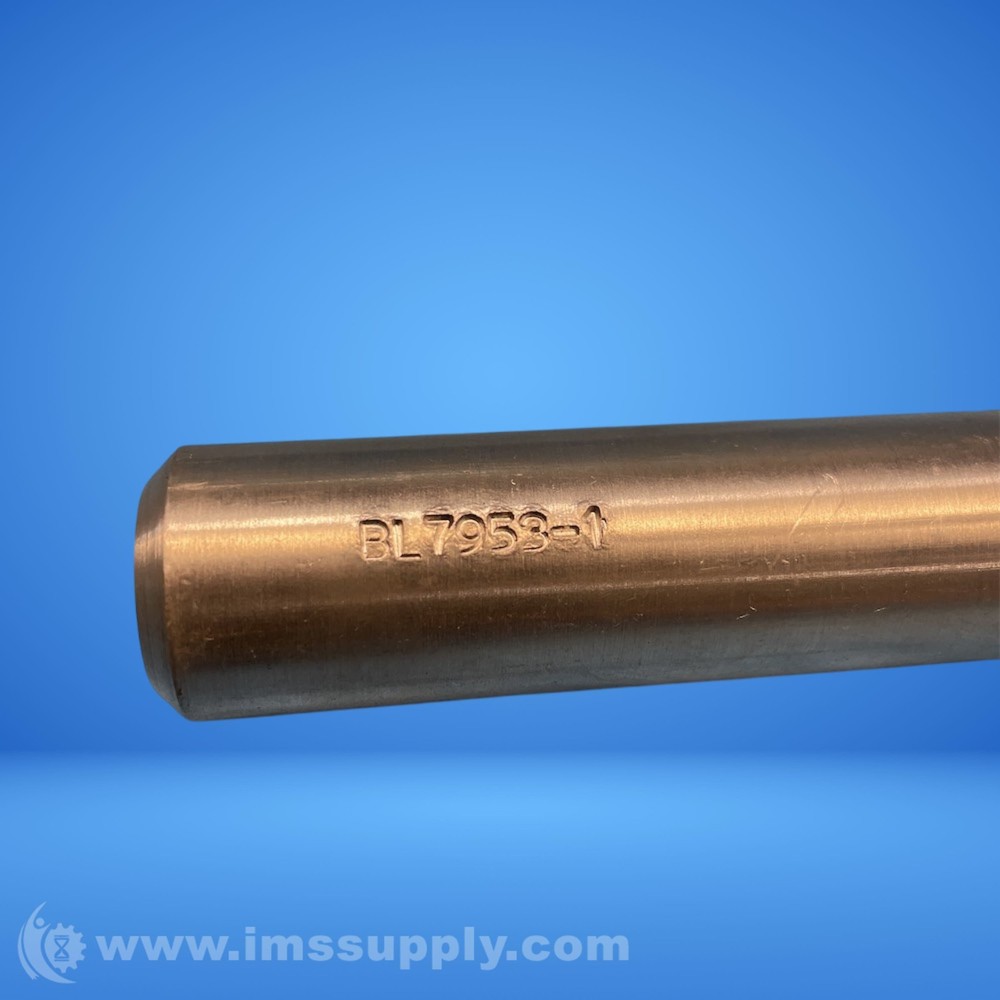 BL7953-1 Punch FNIP