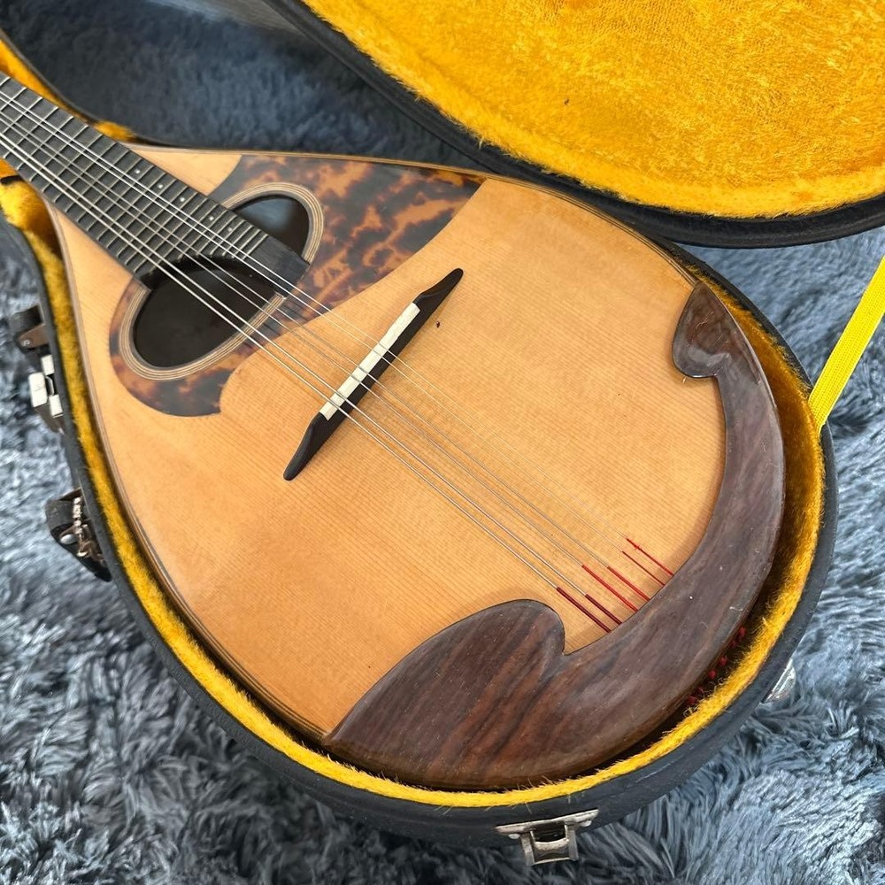 Misuzu Mandolin String Instrument Hard Case Supervised by Minoru Noguchi Luxury