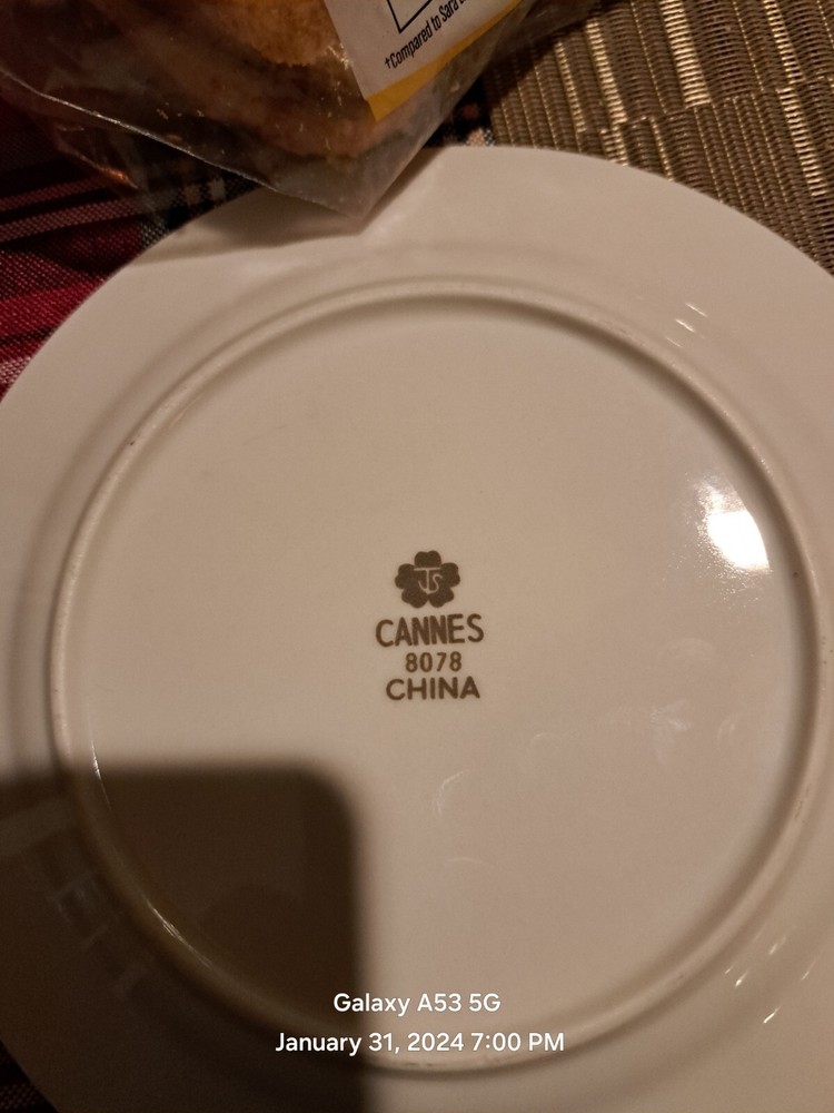 Vintage china dishes dinnerware. Has never been used.