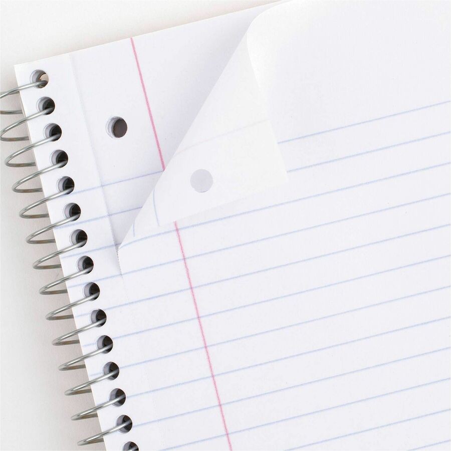 Mead Notebook (73063)