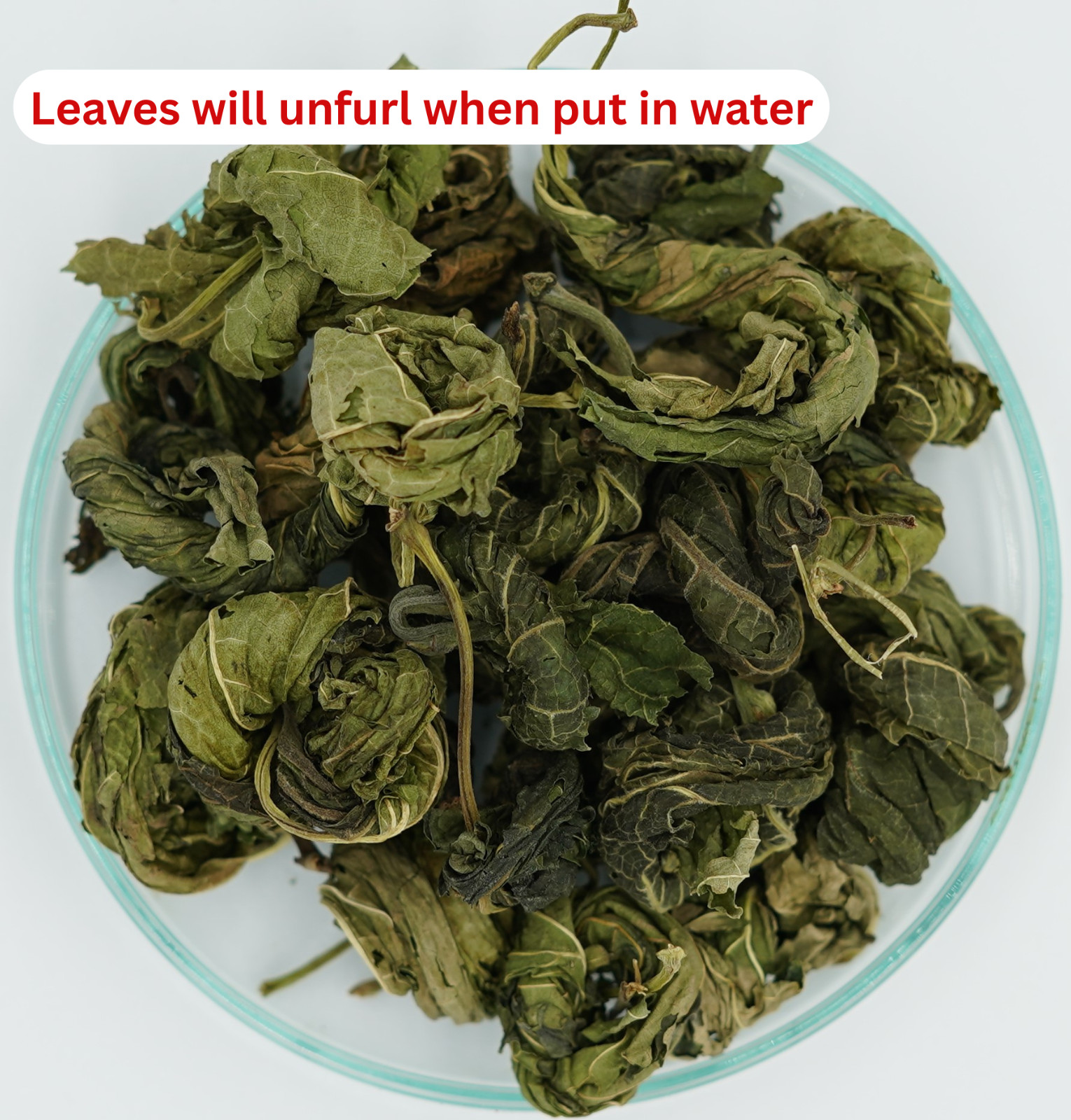 Dried 2.75oz Organic Mulberry Leaves Aquarium Leaf Litter Betta Shrimp Tannin