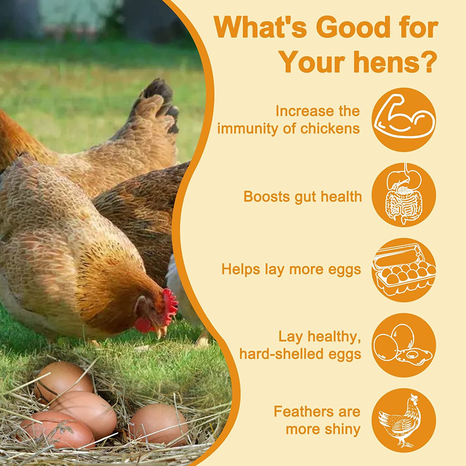 11 LBS Dried Black Soldier Fly Larvae Mealworms for Chicken Birds Treats Non-GMO