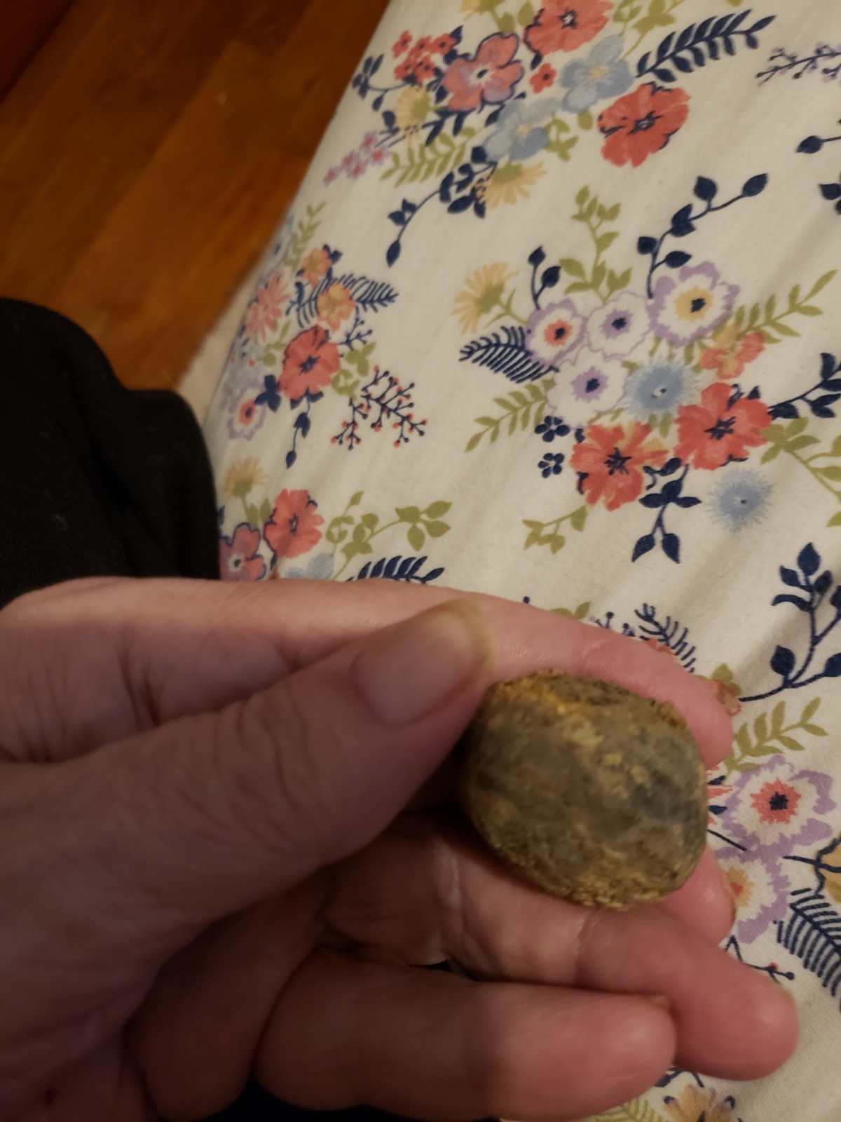 RARE.ANAL PYRAMID Cystoid Echinosphaerites Fossil Crinoid Trilobite RARE FOSSIL