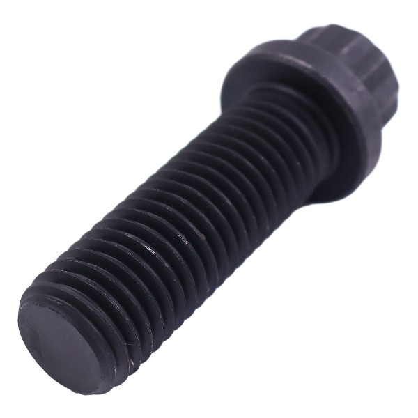 205584 Twelve-Point Cap Screw